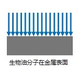 尊龙凯时·(中国)人生就是搏!